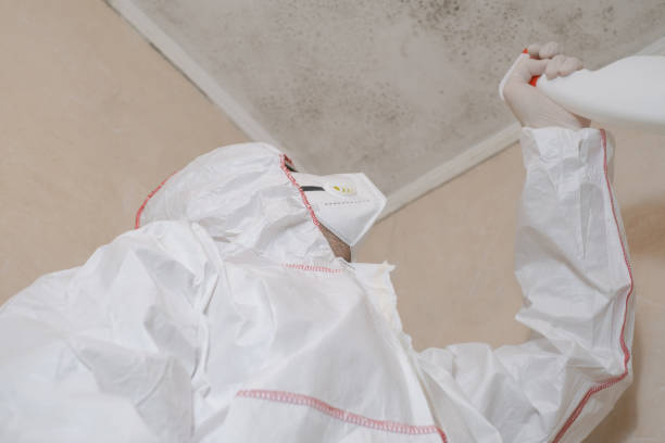 Best Residential Mold Removal  in Monroe, LA